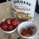 뉴시드니 노래연습장 | [시드니] 3일차_피쉬마켓, 보타닉가든, 시드니 천문대