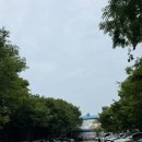 동대문구체육센터 | 동대문구 수상스포츠 카약 서울공공서비스예약 무료 체험 후기, 주차 주의