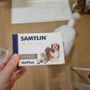 새 | 벳플러스 새밀린 후기｜강아지간수치 개선 필수영양제