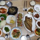 산들레고기