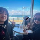 CU강릉연곡영진점 | 강릉 연곡 솔향기 캠핑장 카라반 전날예약한 h903 메리크리스마스