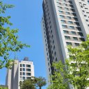 중앙동118 이미지