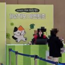 41190-01-07-342 | <고양이 박람회> 가낳지모 캣페어 2026 winter 코엑스 주차 대중교통 오픈런 후기