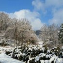 카페수목원 이미지