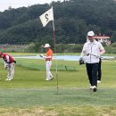 파크골프 이미지