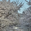 GS25 합정패밀리점 이미지