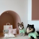 빌라드루이 이미지