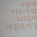 사랑이네 이미지