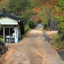 청학동(도인촌) 이미지