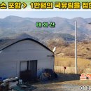 [단양토지 1,372㎡ // 5천5백만원] 농막하우스 포함, 국유림을 접한 배산형의 주말주택! 전신주·지하수 인입... 이미지