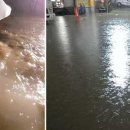 중앙동198 이미지