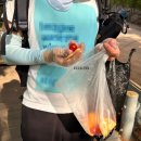 데이빗 다이어트앤몸짱 | 식단관리를 포기한 여자의 마운자로 3주차 일상