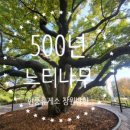 현풍휴게소(상행)대구방향 이미지