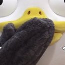 오늘닭강정 이미지