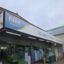 코지시엘 | 천안 코지시엘 키즈풀빌라 대전 근교 독채 펜션 1박 2일 단체 여행