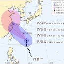 (주)피토