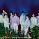 샤인포인트 엑스포츠뉴스