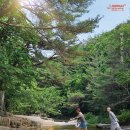 비아신픽처스 티스토리