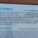 용눈이오름 주차장 이미지