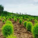 국토보상 행정사 사무소 이미지