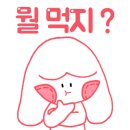 공차광주 네이버블로그