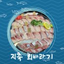 지축 횟집 회바라기 내돈내산 방어회 모듬회 통오징어튀김