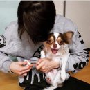 양요정 이미지