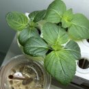 장유점기아오토큐 이미지