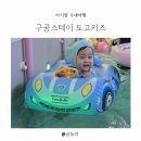 구공스테이도고 이미지