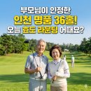삽교호 호수공원 파크골프장 | 어머니가 꼽은 인천 1등 구장? 인천 아시아드 파크골프장 예약 성공 꿀팁과 이용 가이드