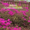 (주)인천영종도하늘과바다호텔 | 평상인제빵소 포함 영종도 구읍뱃터 맛집 카페 숙소 1박 코스