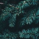 금맥한의원 이미지