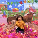 동물 농장 이미지