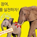넛지