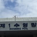 잠실 제1수영장 외부 | 잠실 종합운동장 제1수영장 주말 자유수영 후기 : 애매한 중급에게 가장 추천