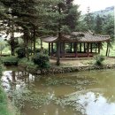 대임수도공사 - 동해시 부곡동 | 남한산성(南漢山城)