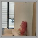 배스킨라빈스 평택청북점 | 안중네일, 안중속눈썹 한 번에 해결한 날✨ 감동 후기