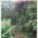 세븐일레븐 삼각점 | [20130914]인천 옹진군 장봉도 능선종주(옹암선착장-가막머리) &amp; 해안트레킹(가막머리-윤옥골해변)