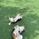 파크랜드상주 이미지