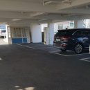 아데초이 이미지