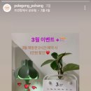 폴러들의공간 이미지