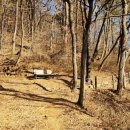 진밭골산림욕장 이미지