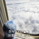 트윈핸즈