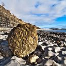 (주)쥬라기 이미지