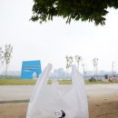 김밥을담다 이미지