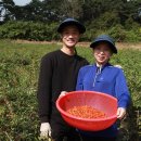 흥국농장 이미지