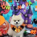 샴푸미용실 이미지