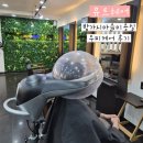 LEEUM Hair(리움헤어) | [뮤트헤어] 주엽 미용실 밤가시마을 미용실 남자두피케어 후기