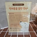 상면사무소 (1층) | [ 카페 임초리 ] 아침고요수목원 디저트 카페 수제 케이크 &amp; 휘낭시에 맛집 애견동반 방문 후기