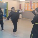 용인대석사특전합기도 이미지